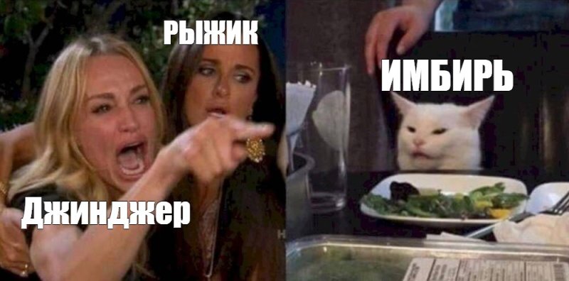 Мем женщины и кот за столом красавчик