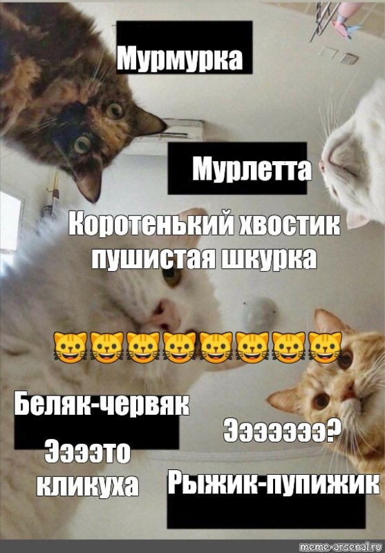 Наташа и котики мемы