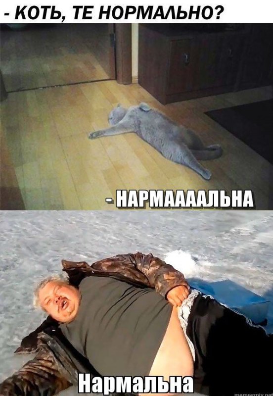 Нормально все нормально нормально