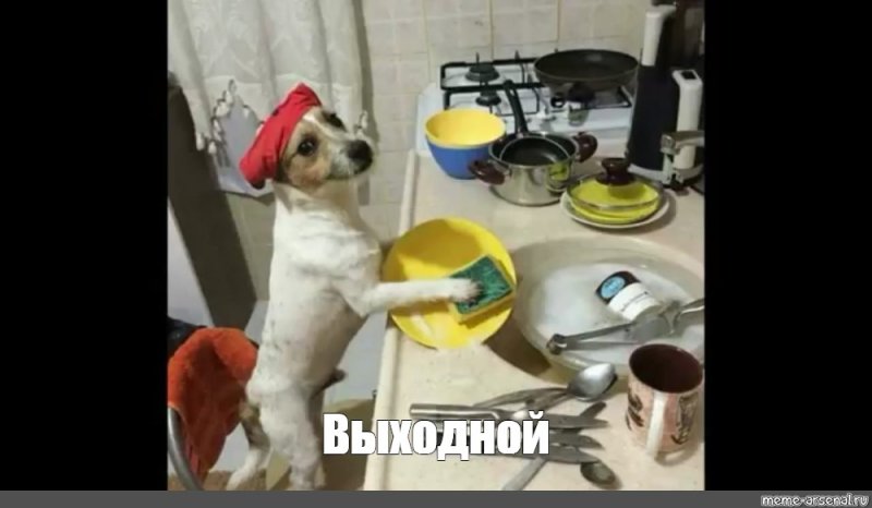 Раз раз и готово собака