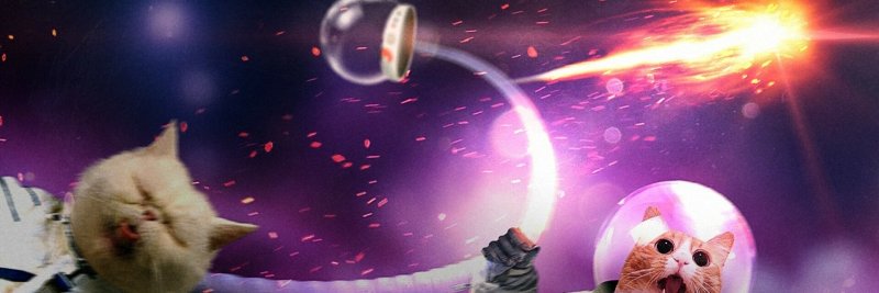 Кошка космонавт