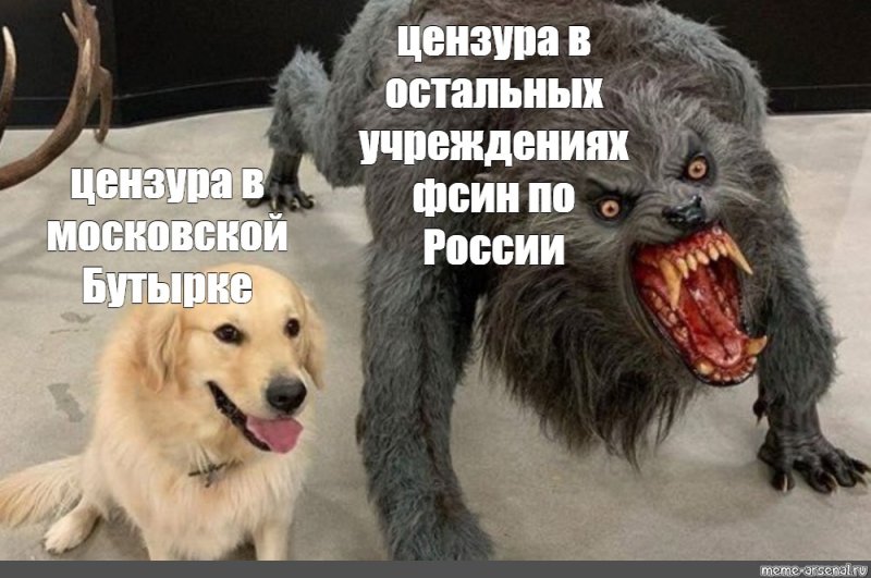 Мем с собакой и злой собакой