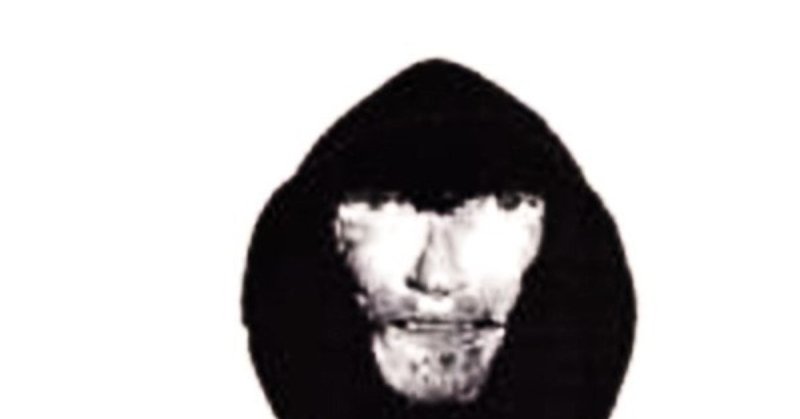 Албанец фоторобот выгу