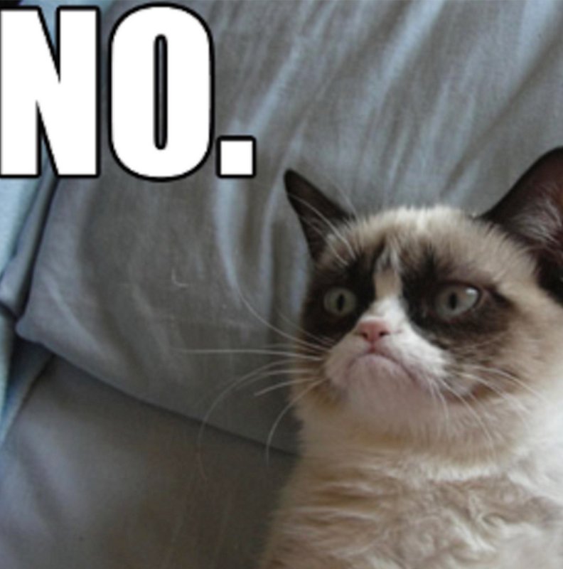 Мемы с кошками