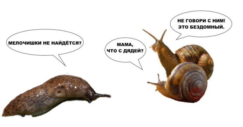 Улитка Мем