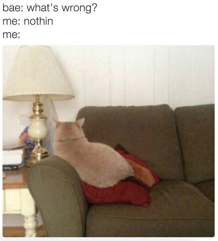 Обиженный кот на диване