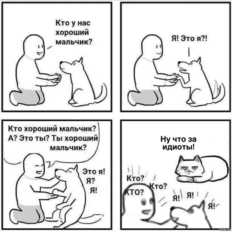 Кот хороший мальчик