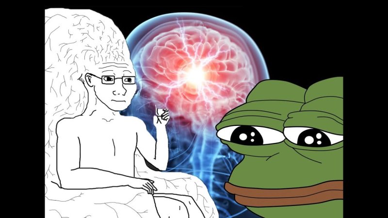 Мем с мозгом человека