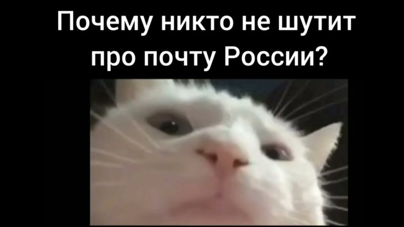 Кот с качающейся головой