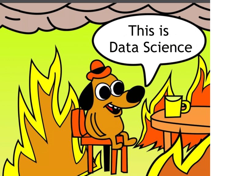 Собака в горящем доме