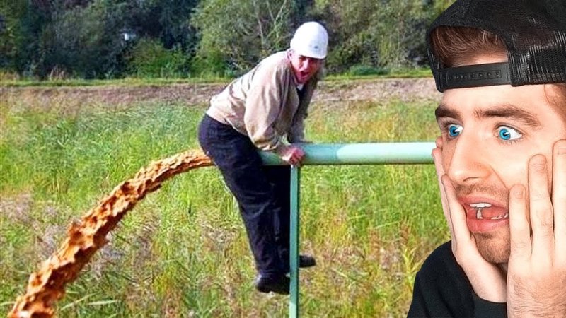 Понос прикол