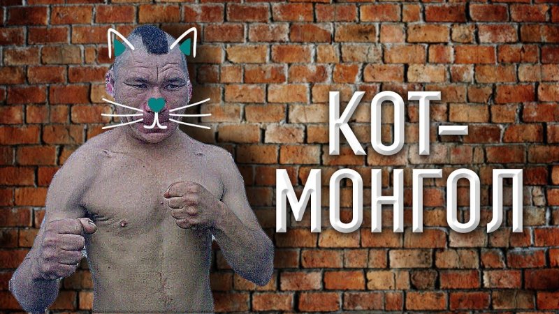 Кот Монгол