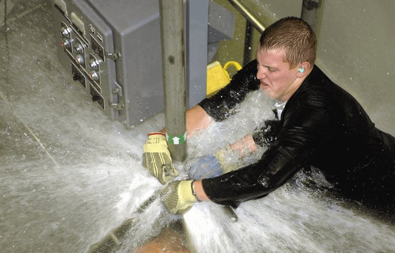 Мастер на все руки смешные картинки