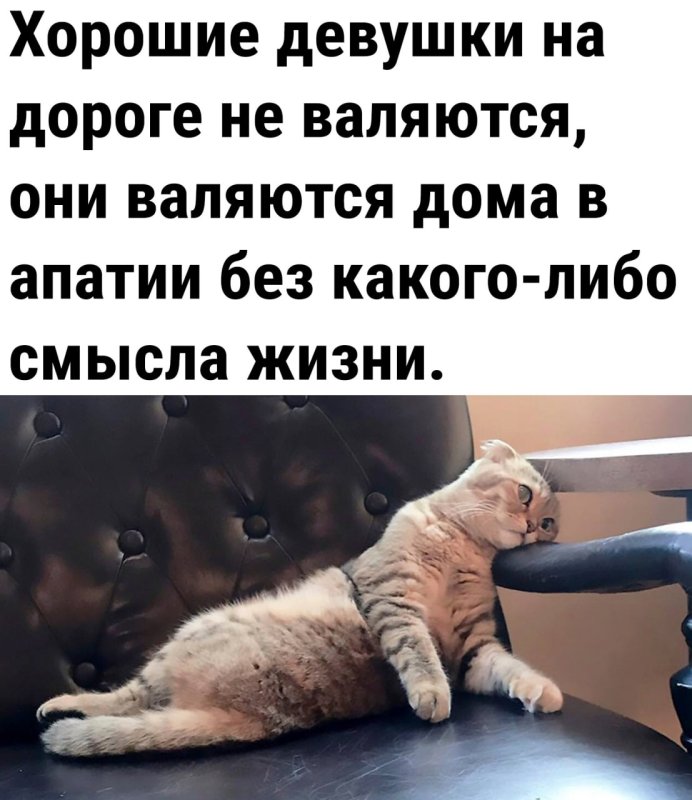 Хорошие мужики на дороге не валяются они валяются на диване