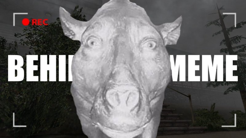 Свинья из мема