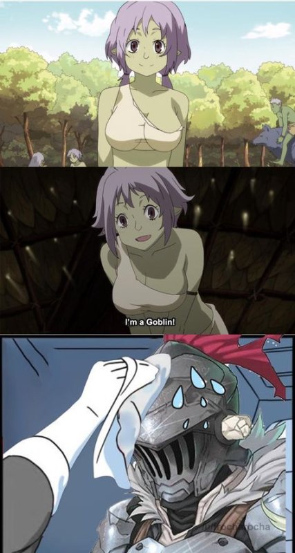 Goblin Slayer мемы