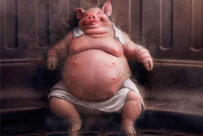 Смешной Свин