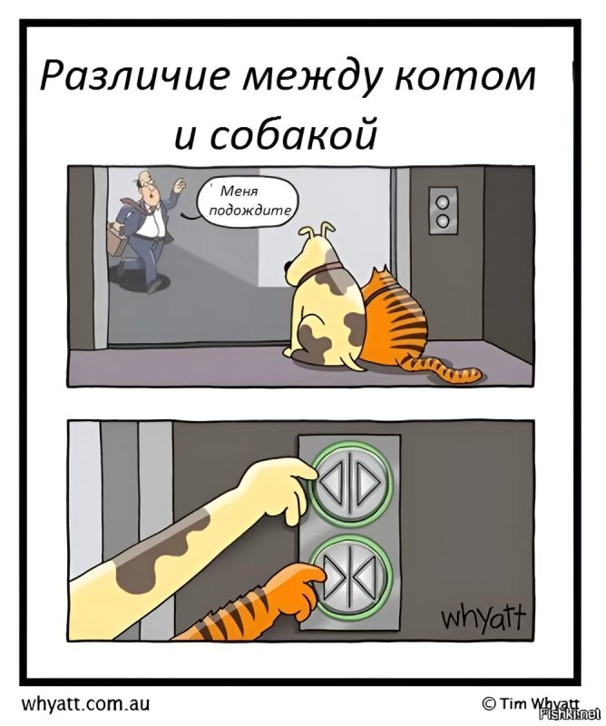 Мемы про собак и кошек