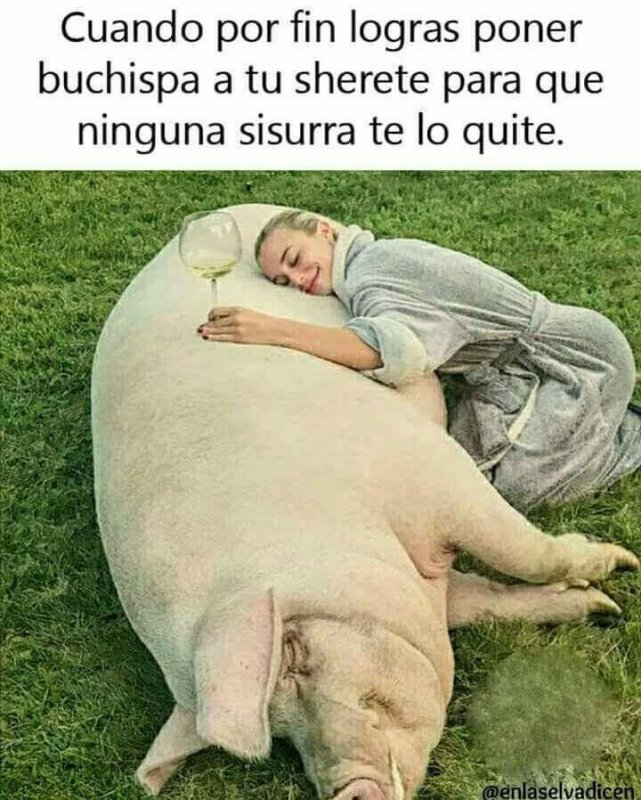 Когда откормила своего