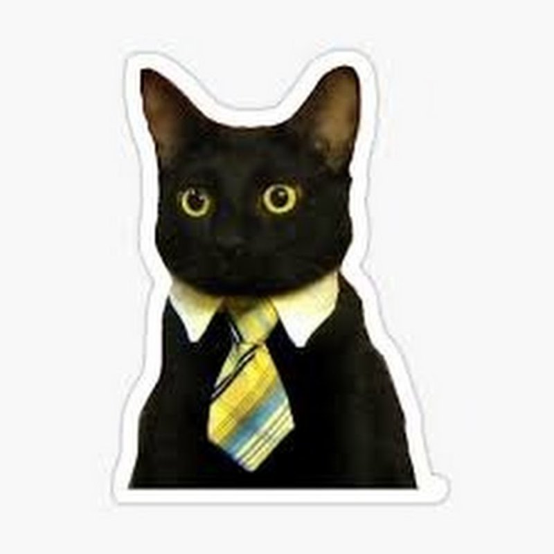 Костюм черного кота