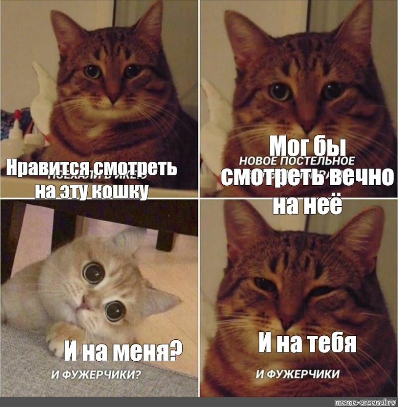 Кот икеа Мем