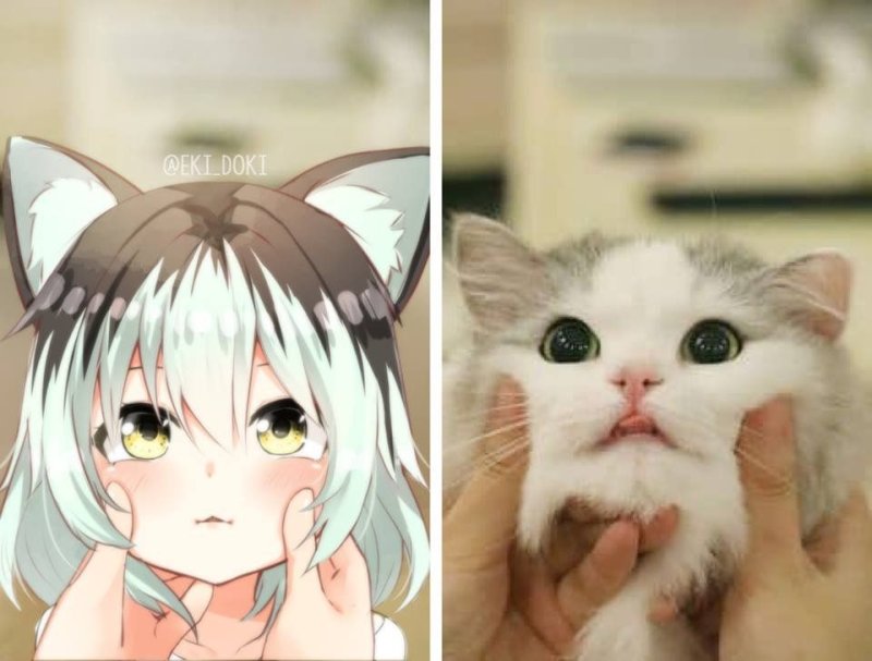 Неко в реальности