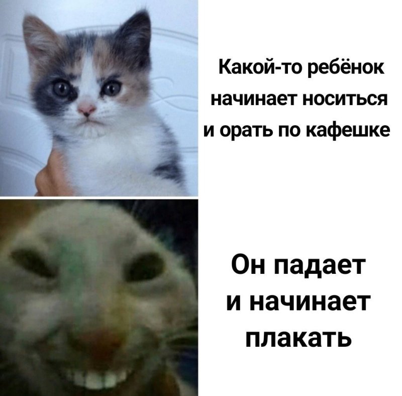 Кот улыбается Мем с зубами