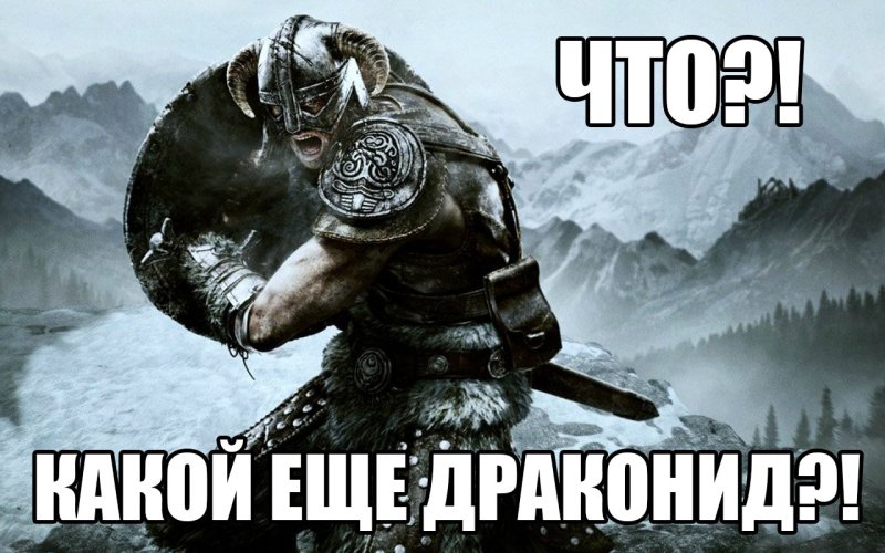 Скайрим Мем