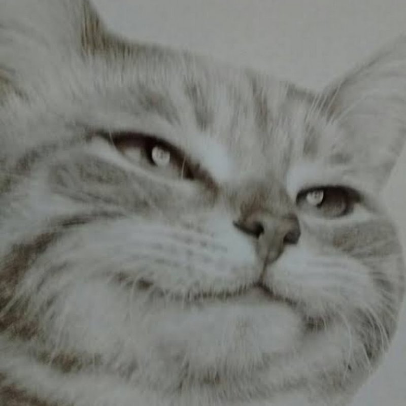 Кот улыбается