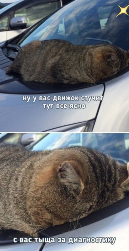 Приколы про автомобили