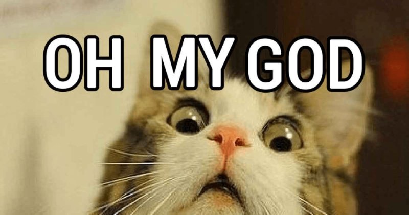 Мем кот омагад