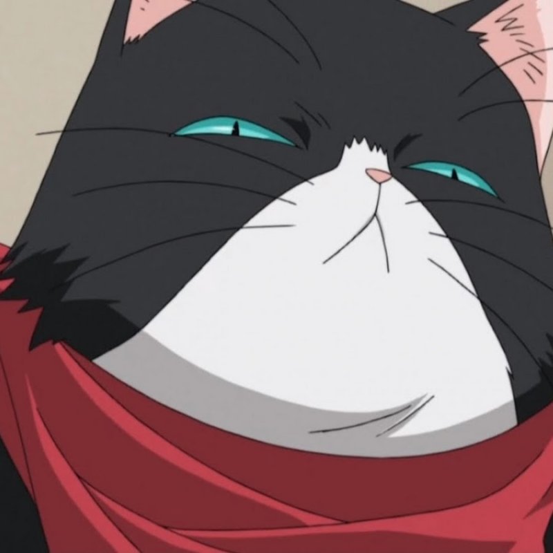 Кот из аниме