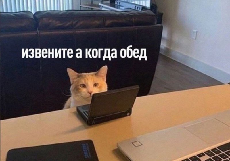 Ноутбук Мем