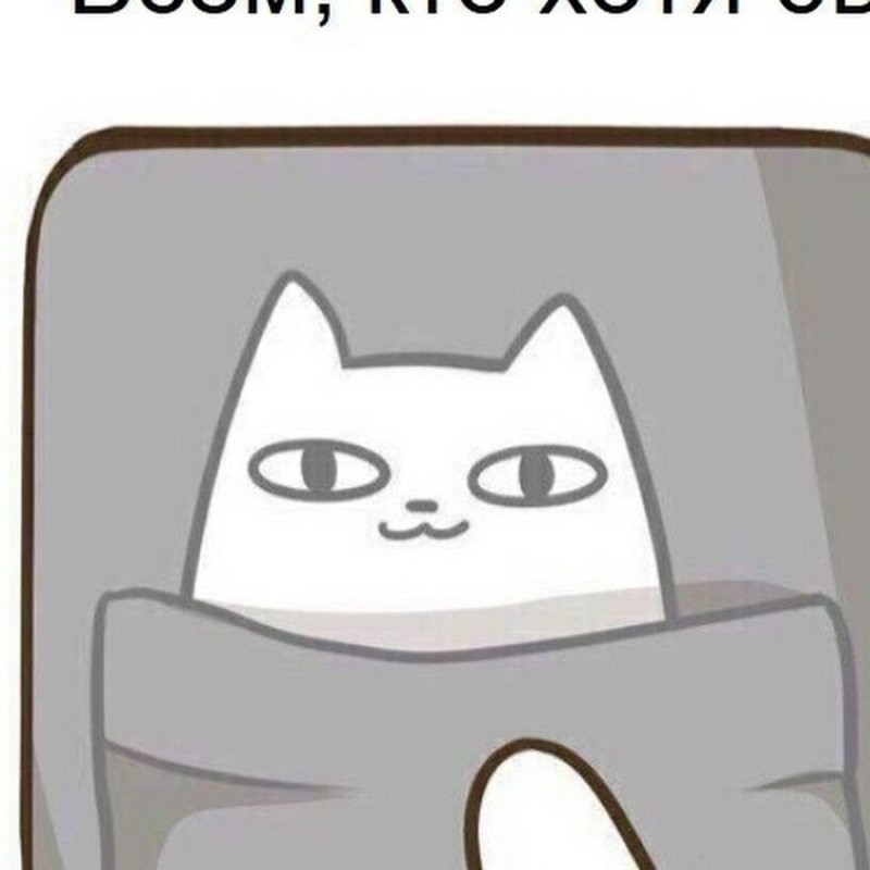 Коты мемы арты