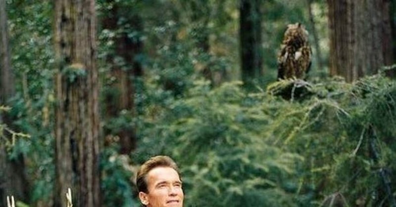 Хранитель природы Шварценеггер