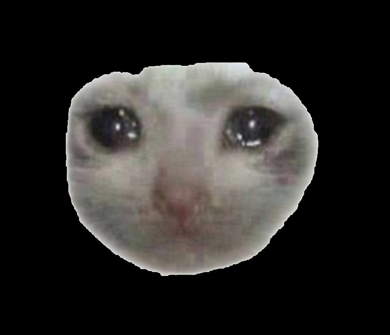 Котик плачет