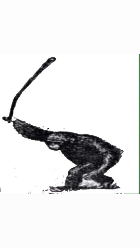 Бунт обезьяна с палкой