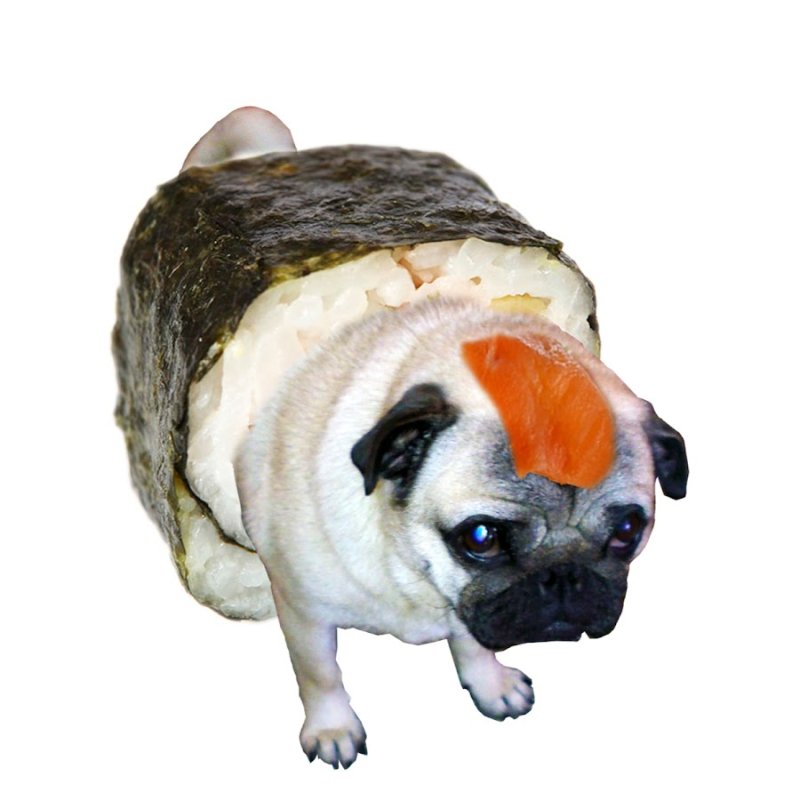 Суши собака