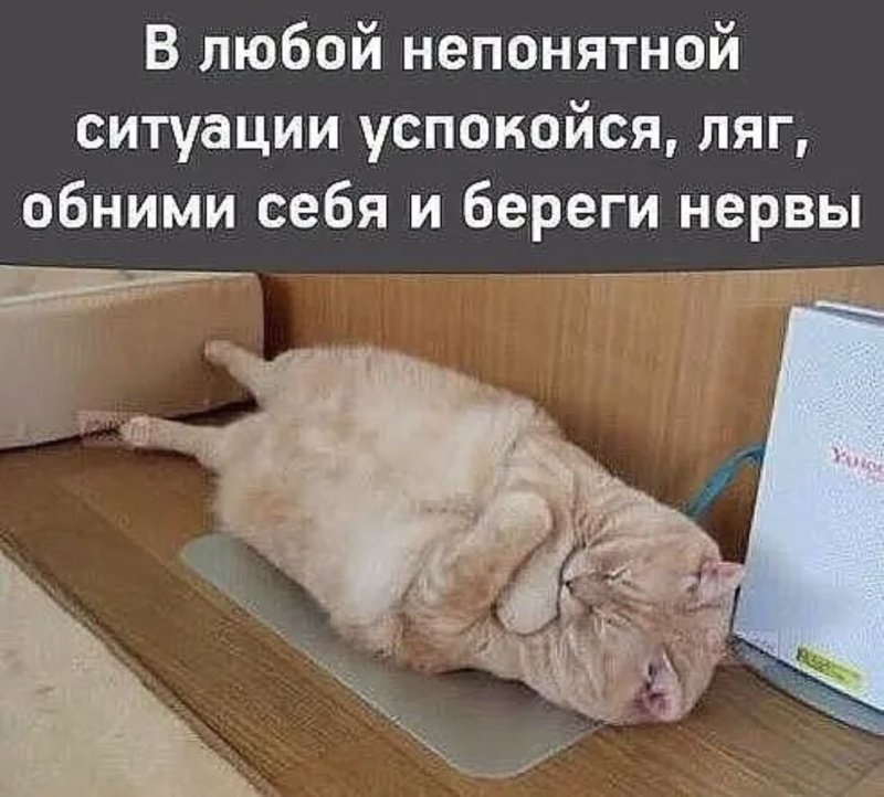 Берегите нервы