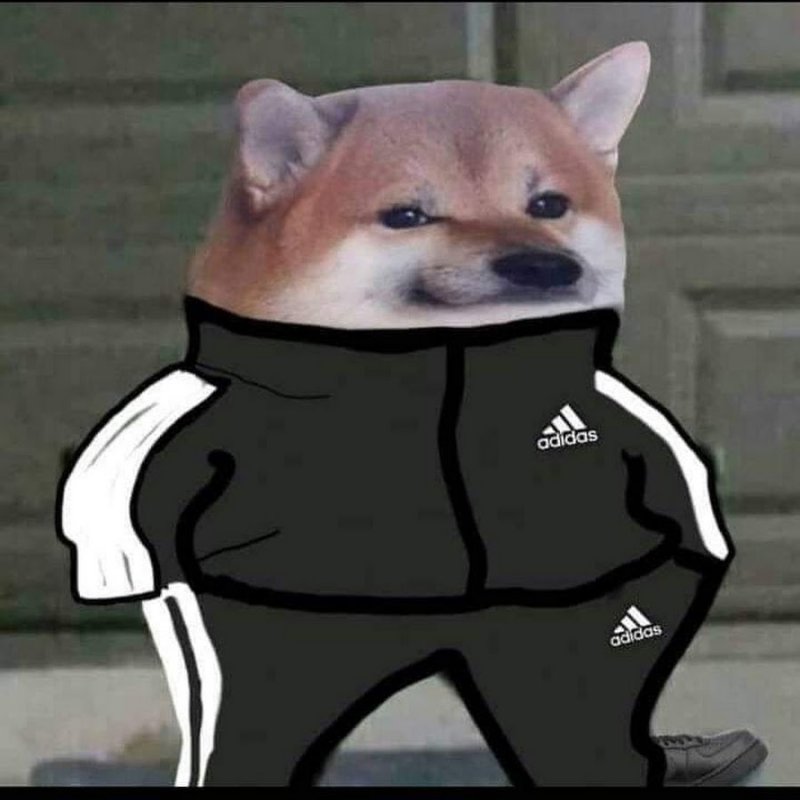 Doge в адидасе