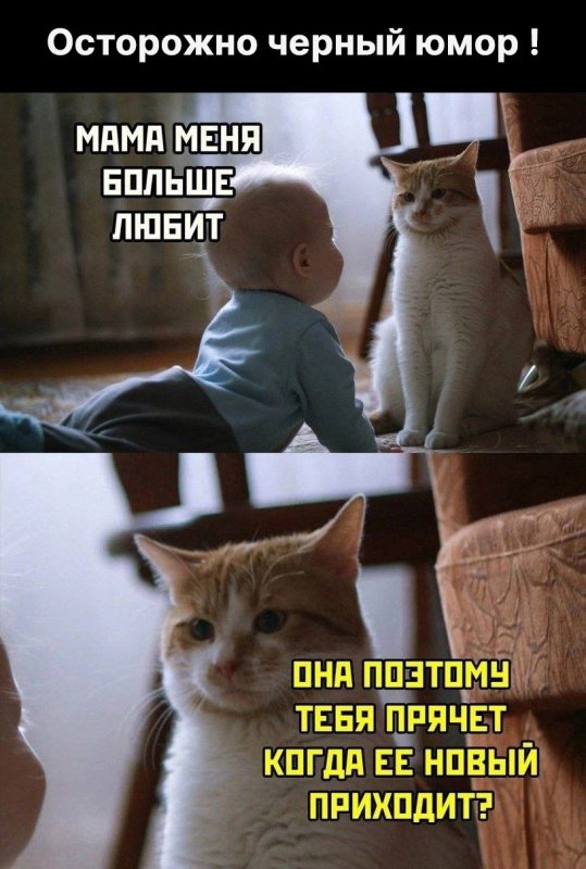 Кот и ребенок Мем