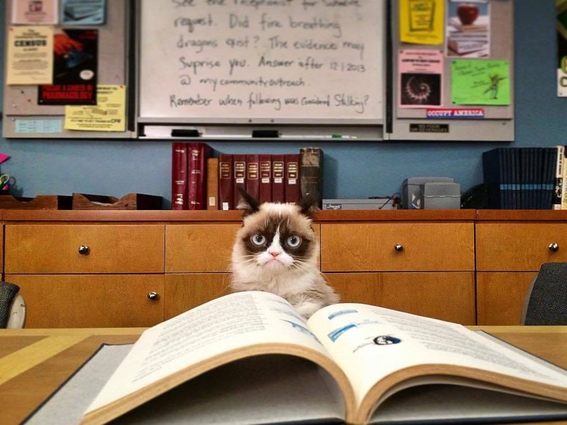 Геометрия Мем