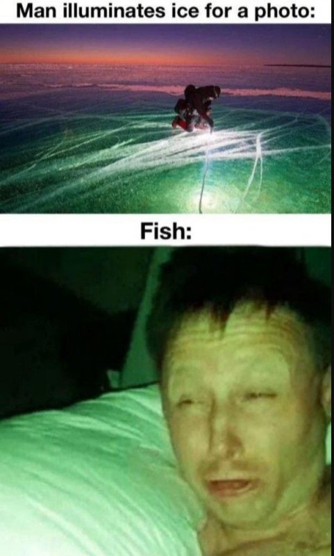 Проснулся Мем