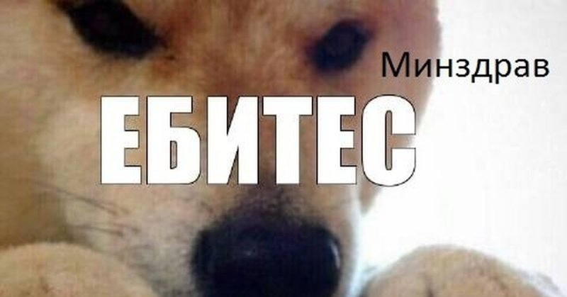 Мем две собаки ебитес