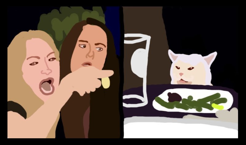 Мем с котом и девушками