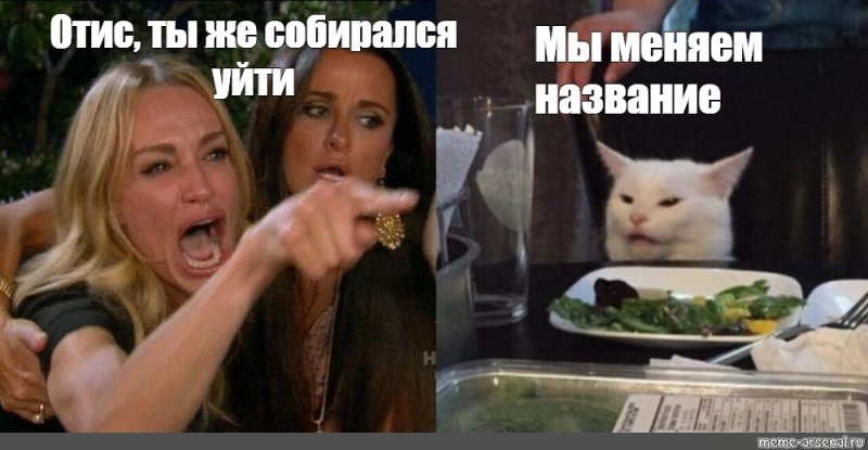 Мемы с белым котом за столом