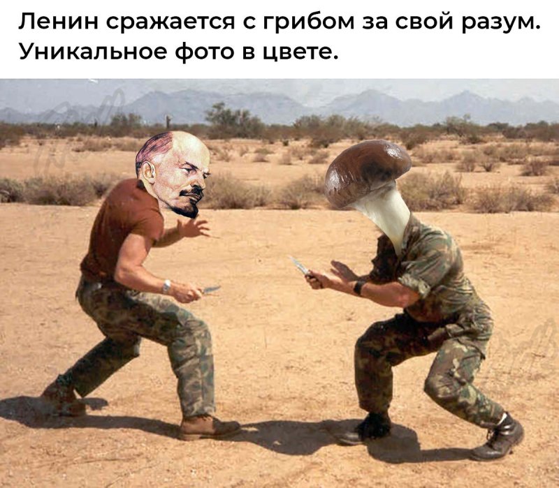 Ленин сражается с грибом