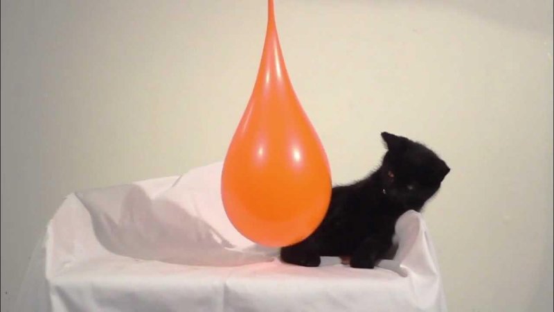 Интересные гифки