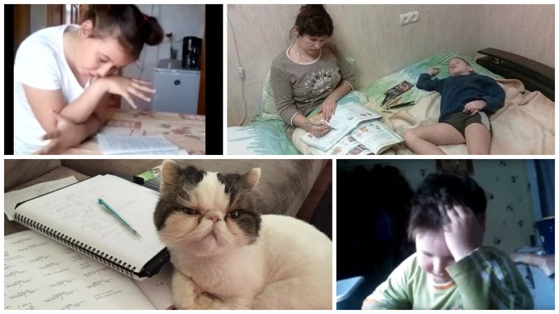 Смешные занятия