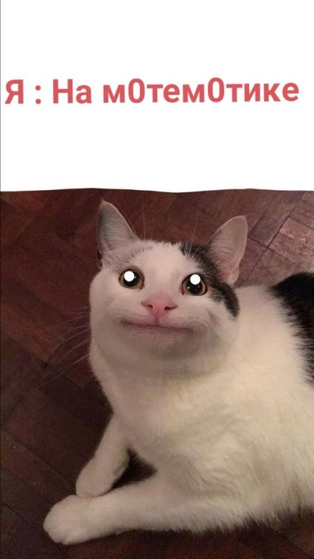 Смешной кот Мем
